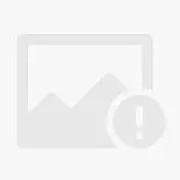 道不虚行只在人的个人资料头像