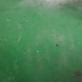 工资元龙头像