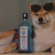 Tolerate的个人资料头像