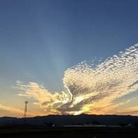 直话直说AA头像