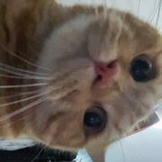 鲜陈多的个人资料头像