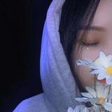 又戈842头像