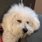 wfeng411的个人资料头像