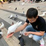 陈浩平376头像