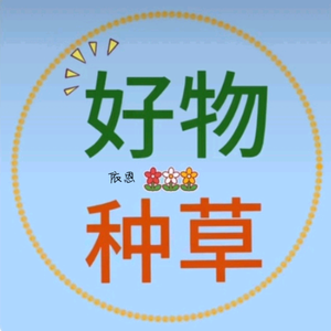 依恩橱窗带货头像