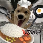 Tttth的个人资料头像