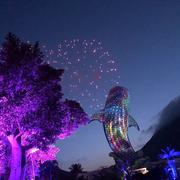 妖逆小雷的个人资料头像