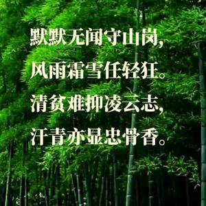 文案配优曲头像