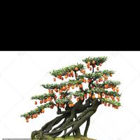 淡定溪流zw头像