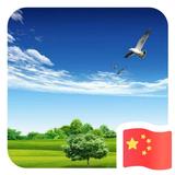 刘琪428头像