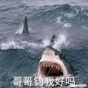 无语92的个人资料头像