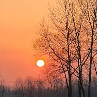 用户2629108158110头像