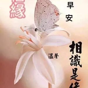 成熟西柚0d9头像