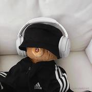 南意的个人资料头像