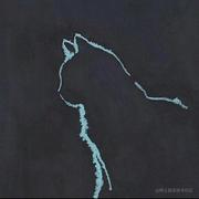 _T的个人资料头像