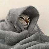 小辣辣SWhp头像