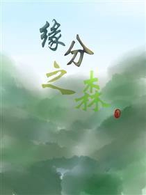 缘分之森_2