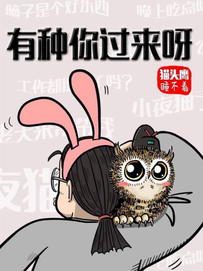 猫头鹰晚上不睡觉干嘛漫画