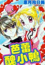 丑小鸭之梦芭蕾舞漫画