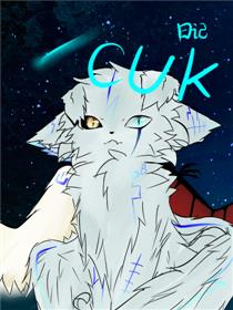 CUK日记_2