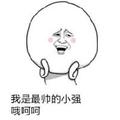 互联网的小强头像