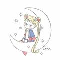 樱桃老丸子21头像
