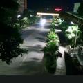 静看人生132头像