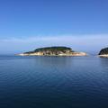 水库浪子441头像