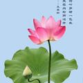开心46721头像