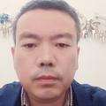 杨早根头像