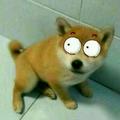 朦如胧头像