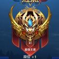 流浪者维伦头像