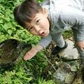 贵州村钓终级霸主冠军赛号头像
