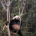 乐观的海和尚头像