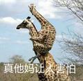 乖乖隆地咚丶头像