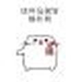 吴先森598头像