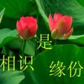渴155045567头像