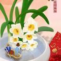 用户55190830638头像