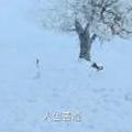 总有叼民想害朕162023782头像