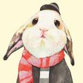 吃蛋不加糖头像