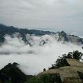 青梅煮酒160655275头像