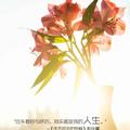 剑锋一李哥战队头像