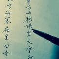 小鸡啄米20头像