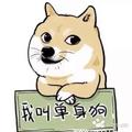蔡162666955头像