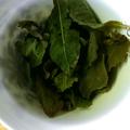 风太师叔2头像
