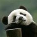 深白色浅灰色139276582头像