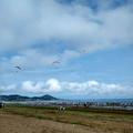 海星169859957头像