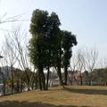 卧底30414796头像