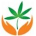 粉白色衬衫ty头像