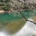 守业更难1头像